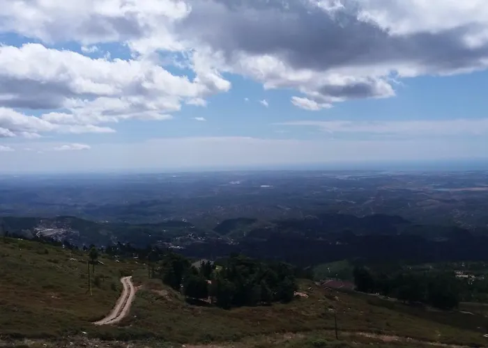 Apartament Palmeiras