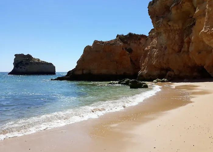 Palmeiras * Portimão